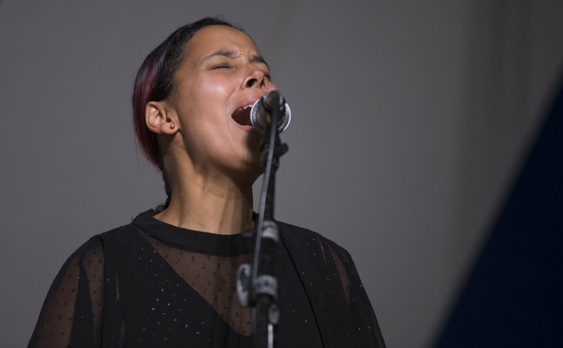 Inaugural N.C. Folk Festival Opens (copy)